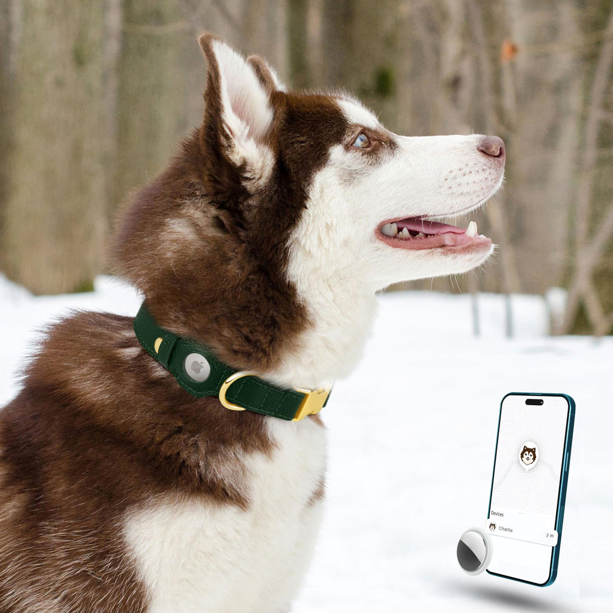 BUDKAS Animal Collar in XS, 9"-12" Neck Fit, Green
