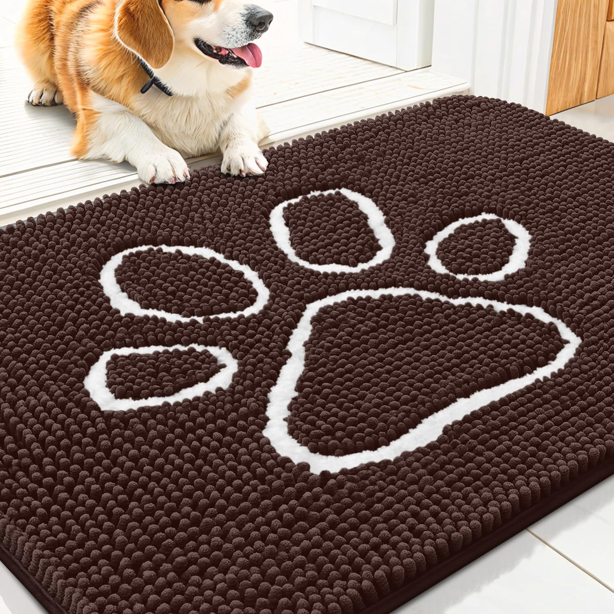 Smiry Rug in 30"X20", Brown and White