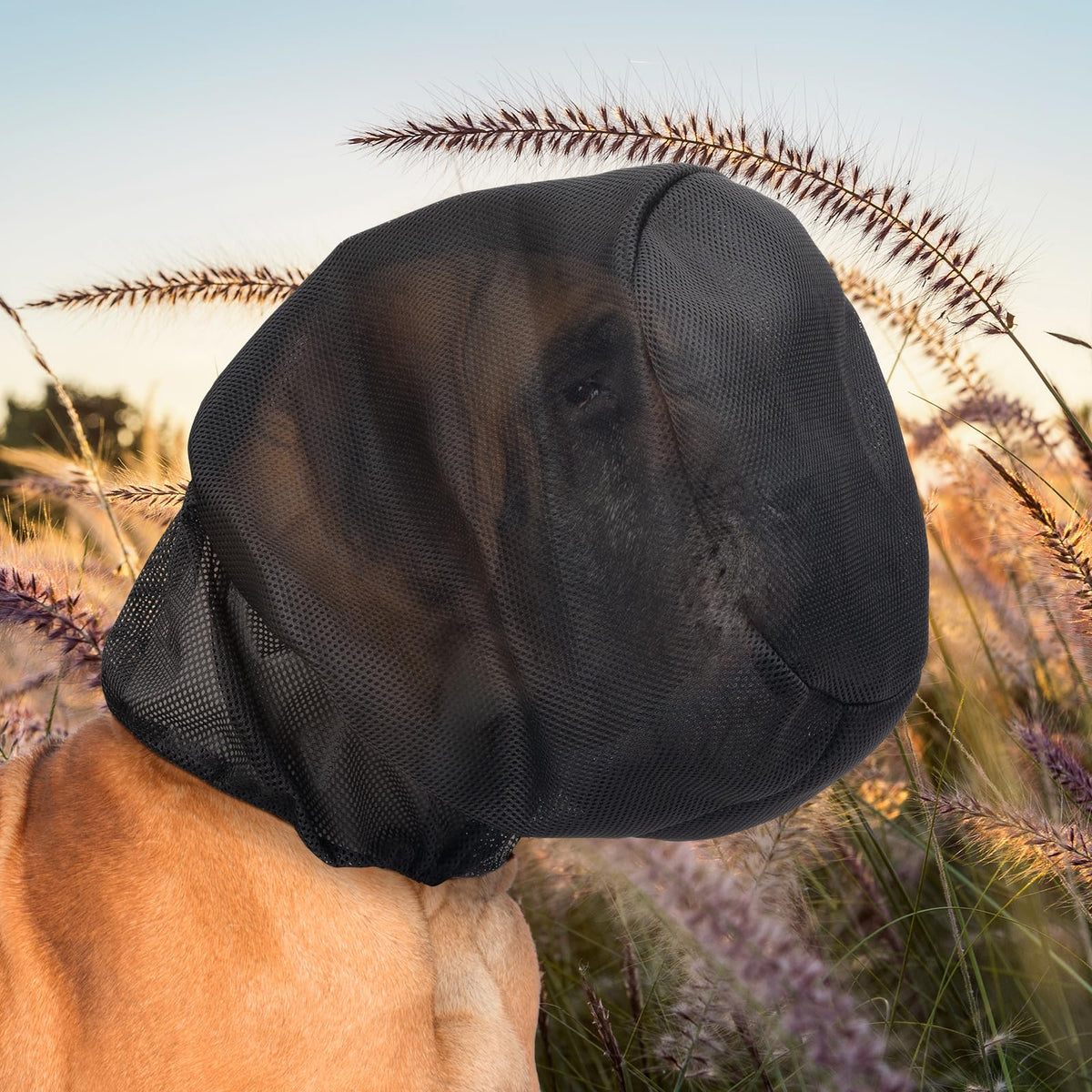 Zhizaiql Pet Pest Control in XL, BLACK