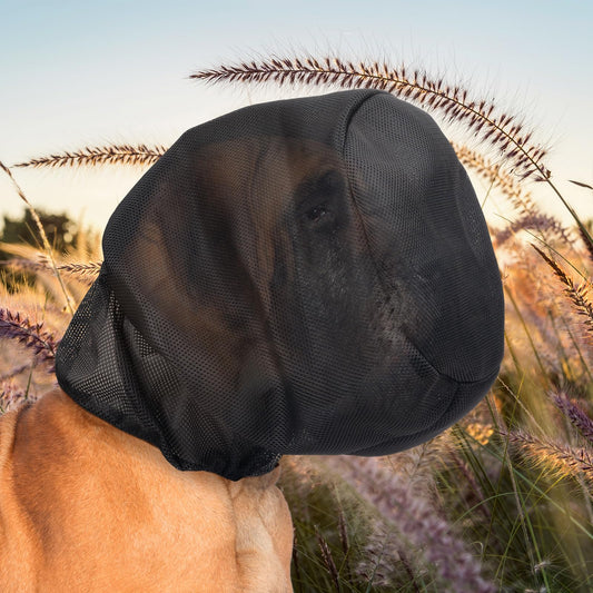 Zhizaiql Pet Pest Control in XL, BLACK