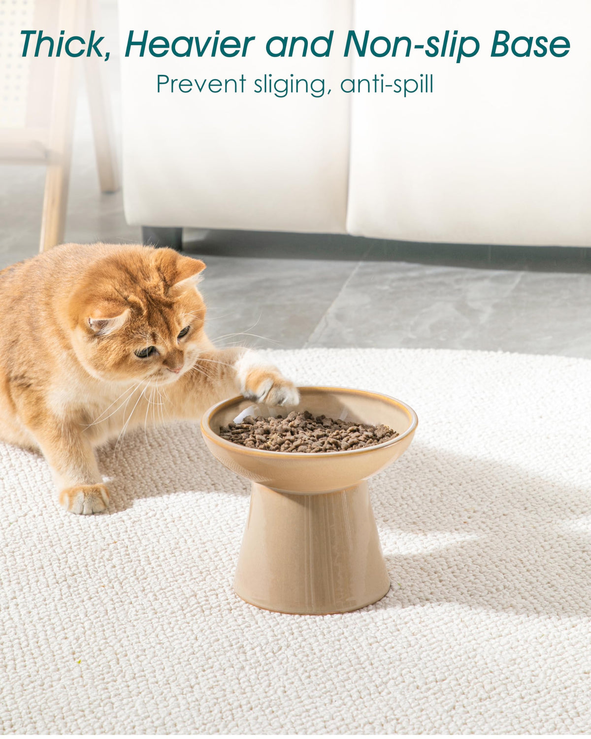 vancasso Pet Feeder in 2 Pack-Food & Water Bowls, Brown