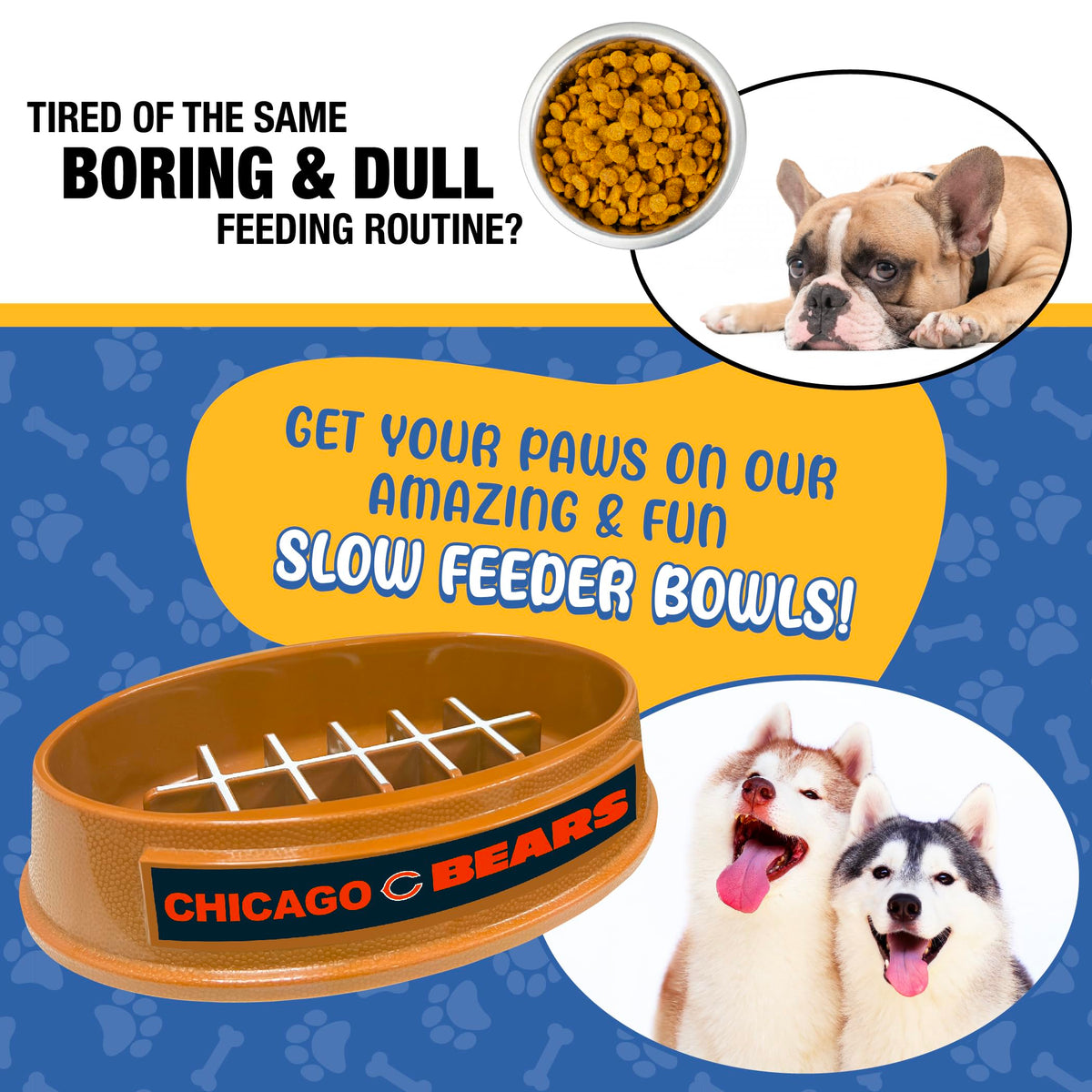Pets First Pet Feeder in Chicago Bears