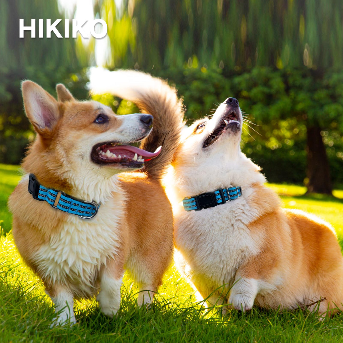 Hikiko Animal Collar in Small, Light Blue