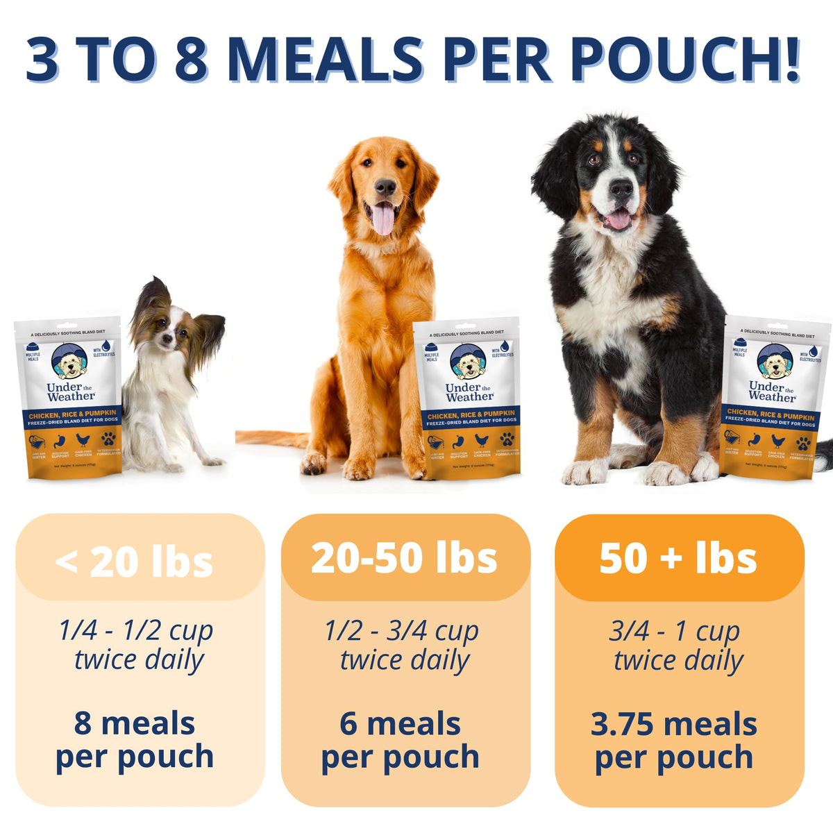 Under the Weather Pet Food in 6 Ounce (Pack of 1)