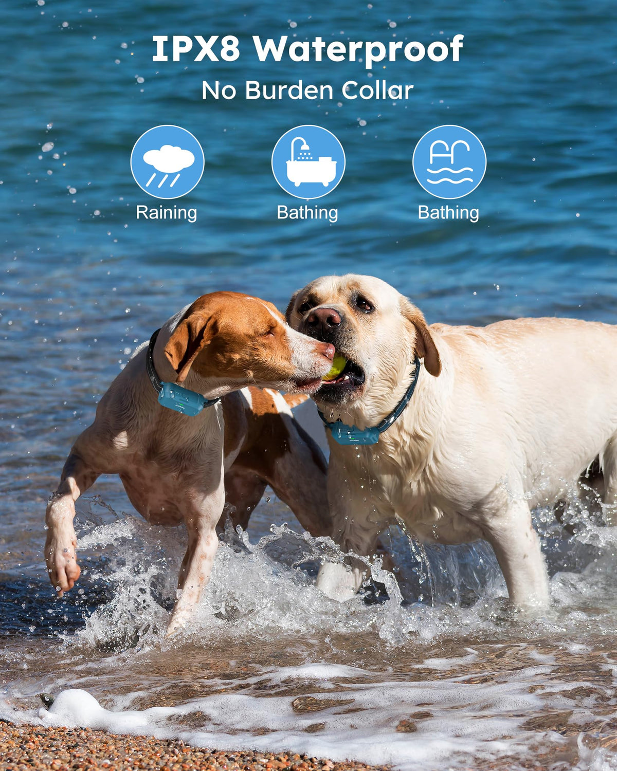 Jugbow Animal Collar in 7.8-24.4 inches, Blue 2 pack