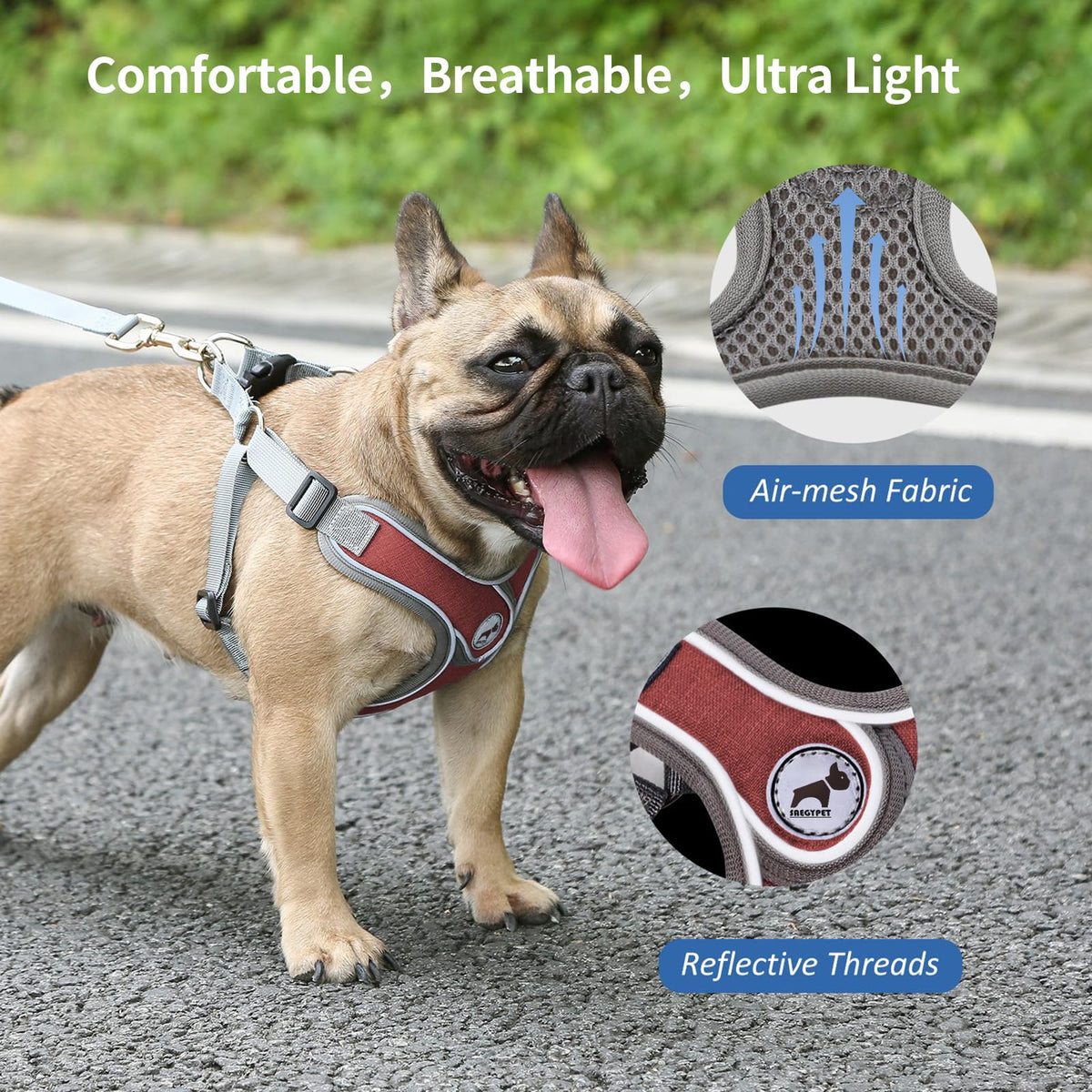 SAEGYPET Animal Harness in XS, Red