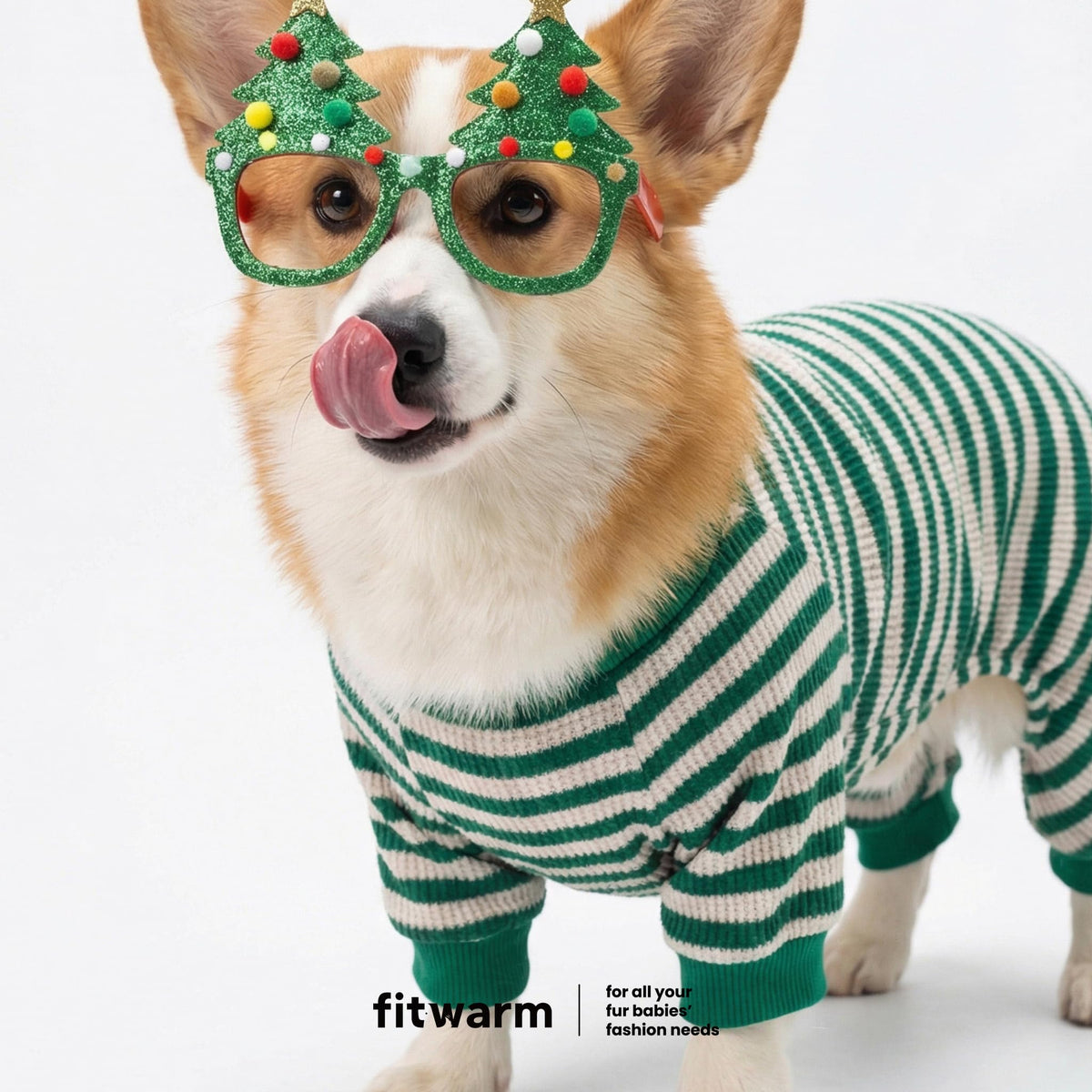 Fitwarm Pet Apparel in X-Small, Green