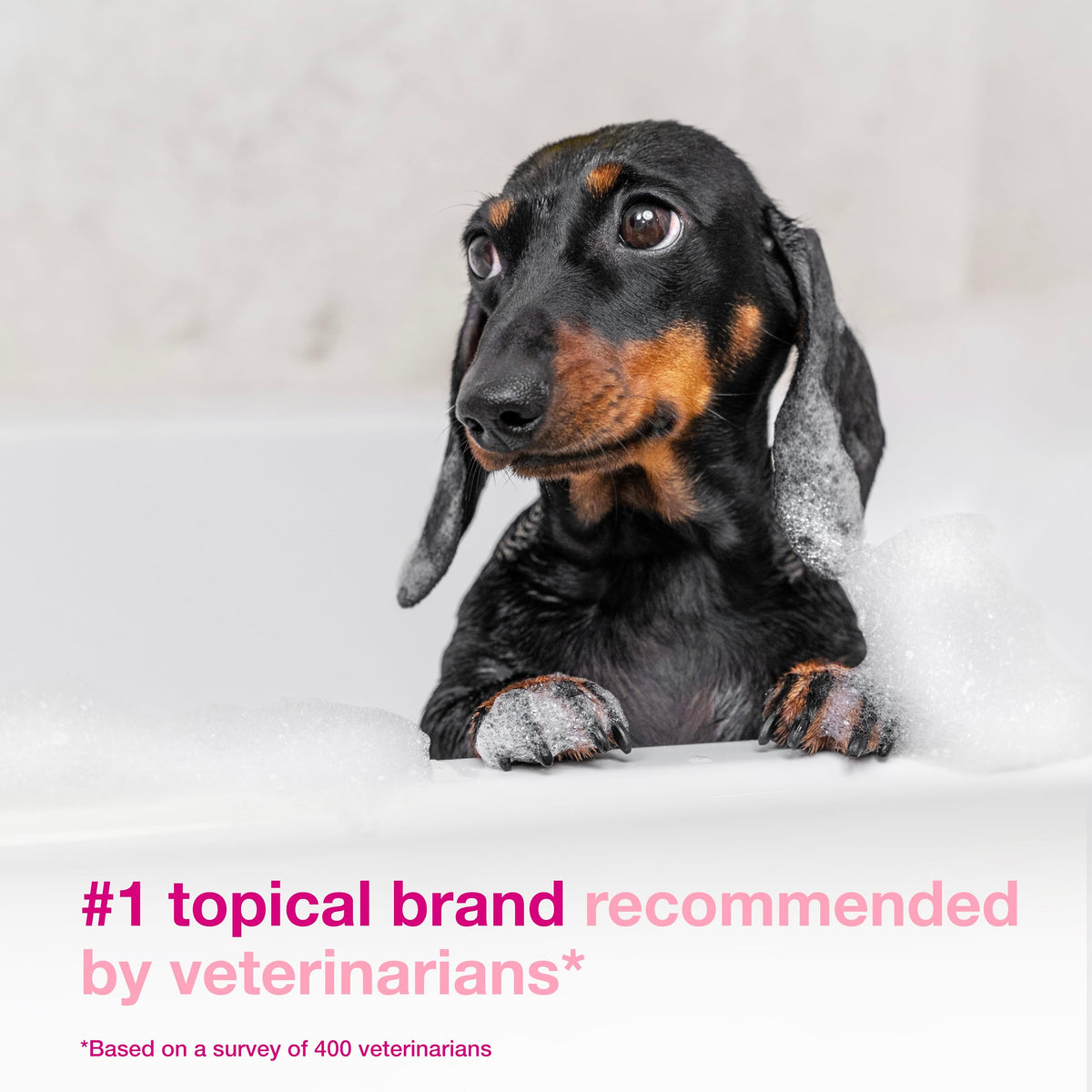 Douxo Animal Fur Cleaner Conditioner in 6.7 oz, Translucent