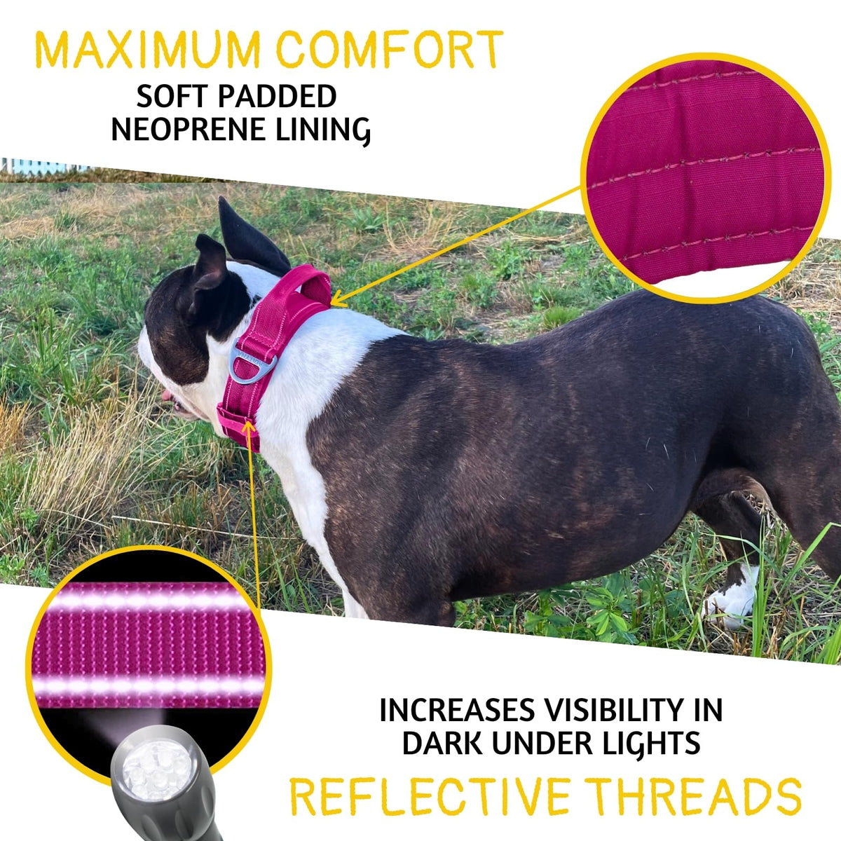 ADITYNA Animal Collar in Extra-Large: Fit 24-30" Neck, Magenta