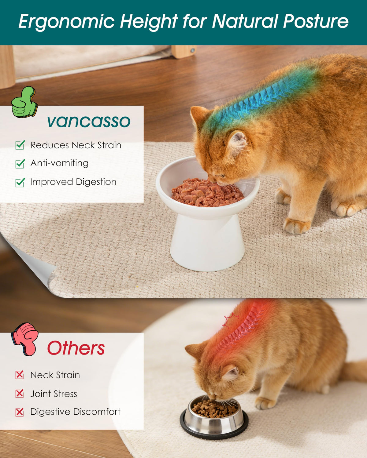 vancasso Pet Feeder in 2 Pack-Food Bowls, White