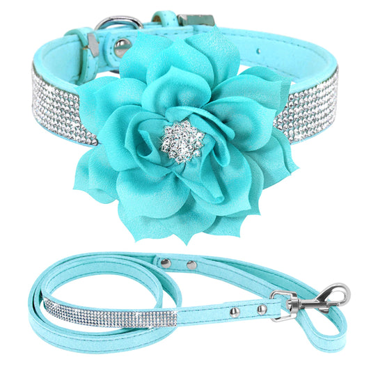 PET ARTIST Animal Collar in XS:Neck 7.5-10"(3-7 lbs), Black