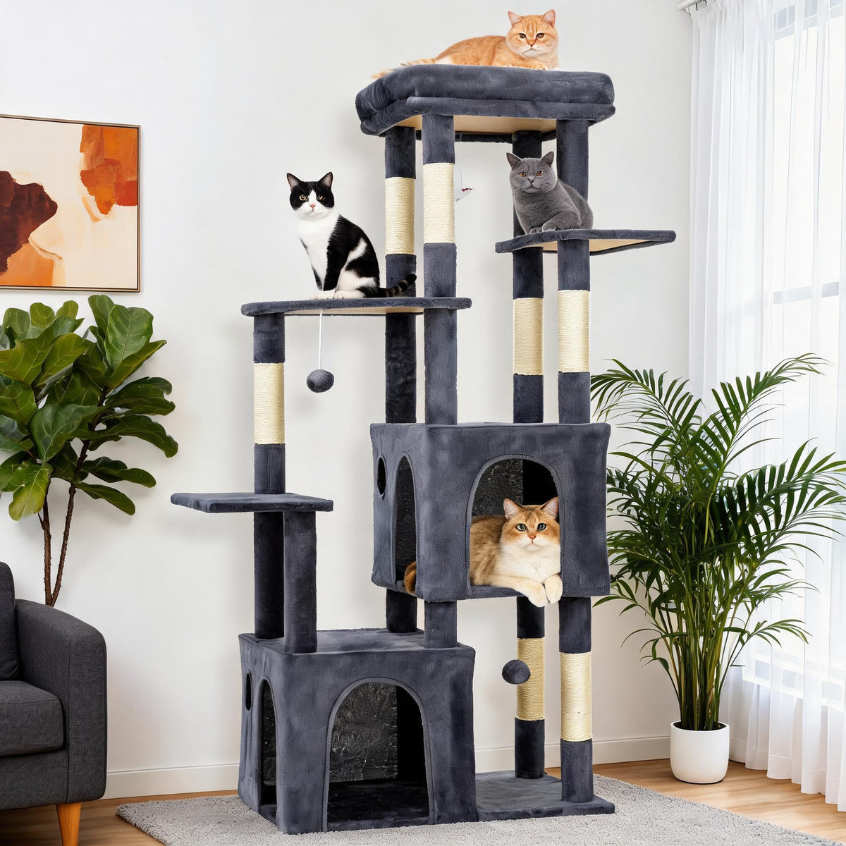 OUTLANE Pet Activity Structure in Dark gray, Dark Gray