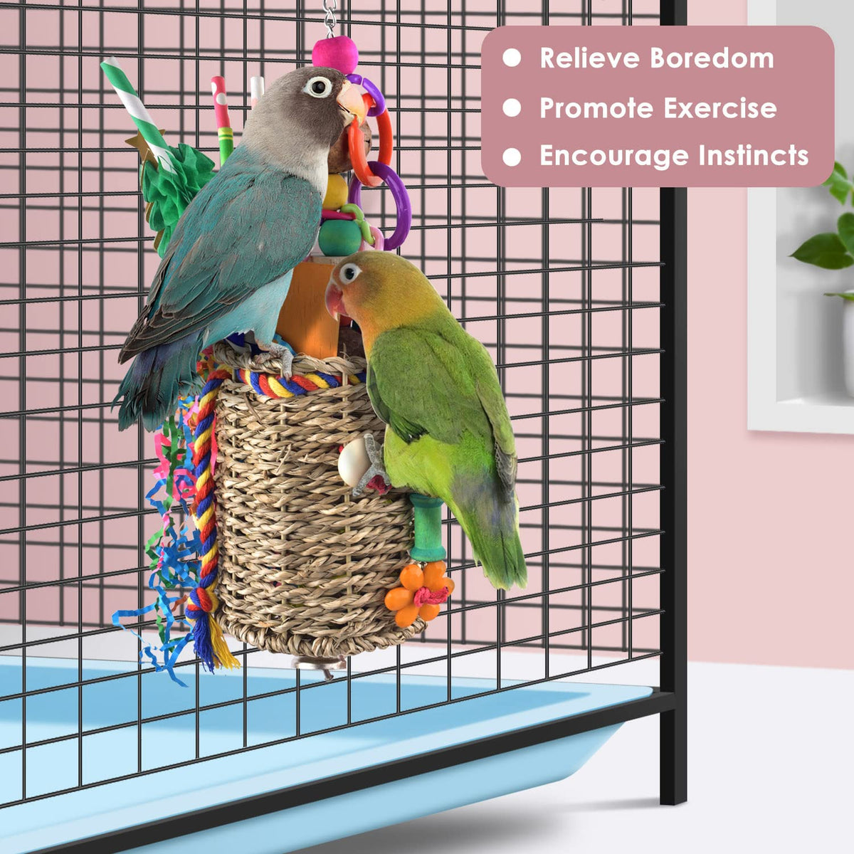 KATUMO Pet Toy