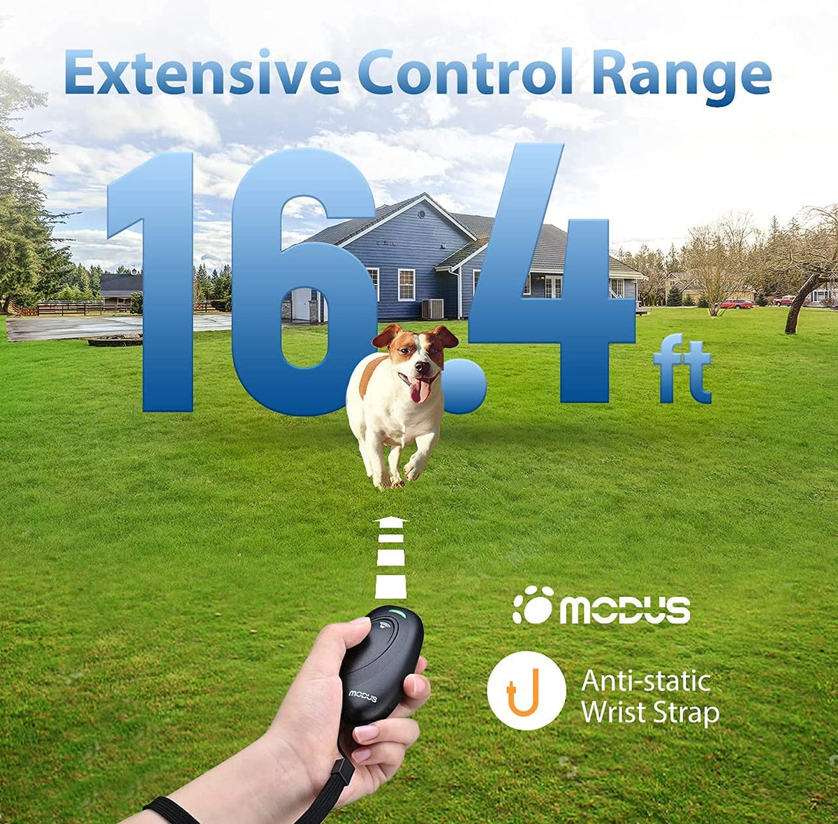 MODUS Pet Supplies in Black2 Dog Bark Deterrent Devices