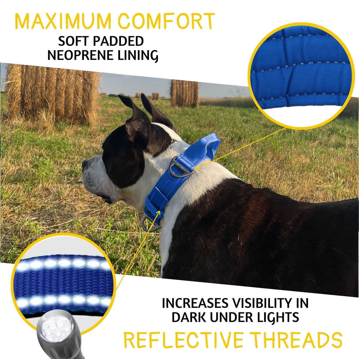 ADITYNA Animal Collar in Extra-Large: Fit 24-30" Neck, Royal Blue