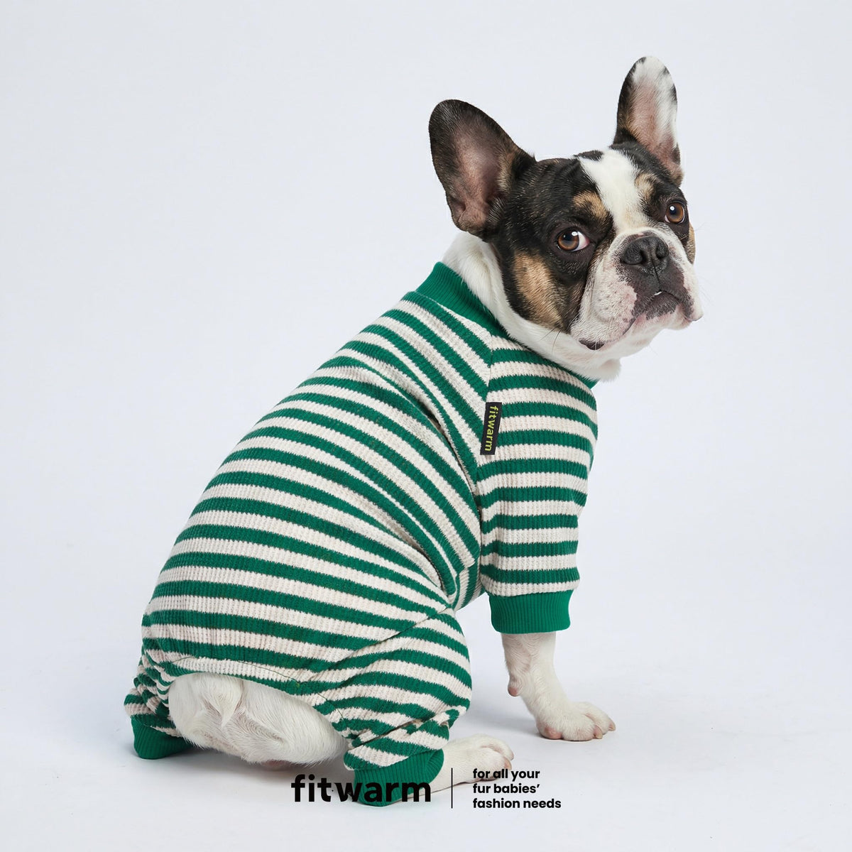 Fitwarm Pet Apparel in X-Small, Green