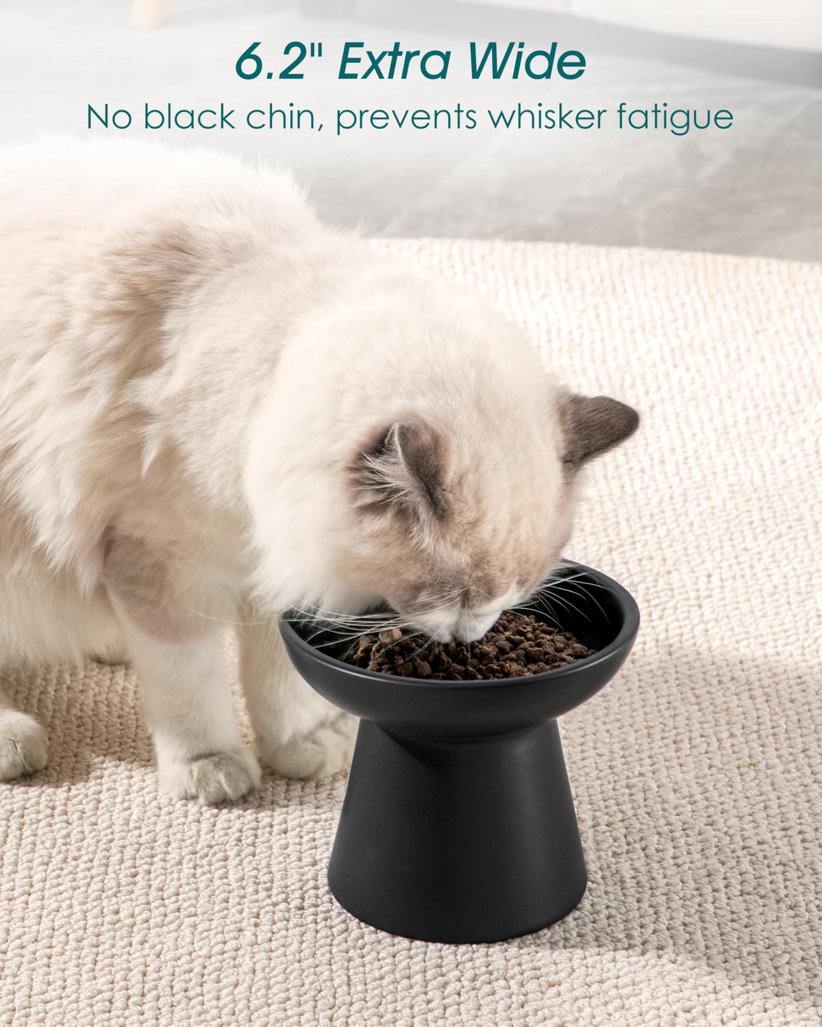 vancasso Pet Feeder in 2 Pack-Food & Water Bowls, Black
