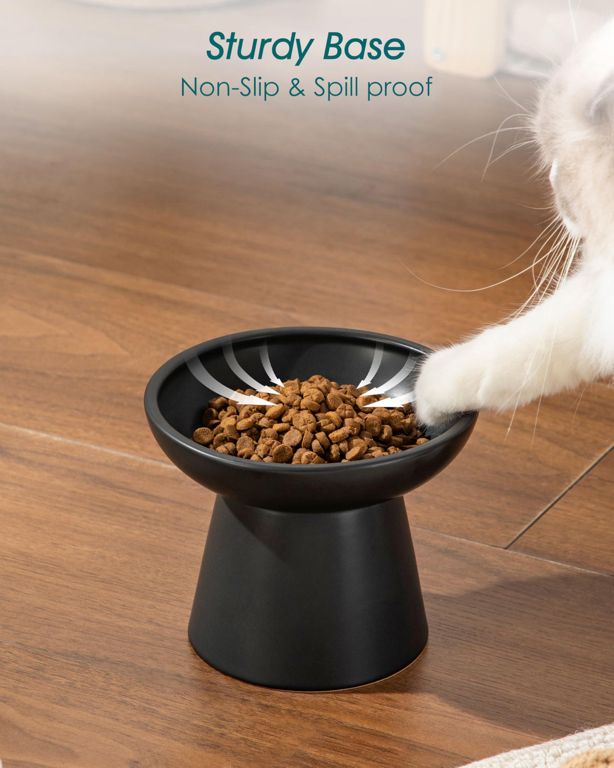 vancasso Pet Feeder in Black
