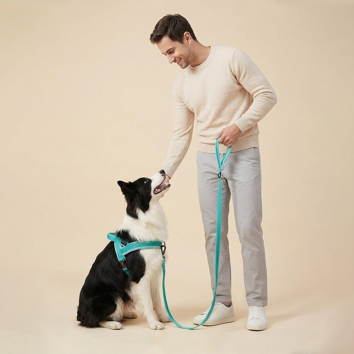 Didog Leash in 3/4''x 6 FT, Teal