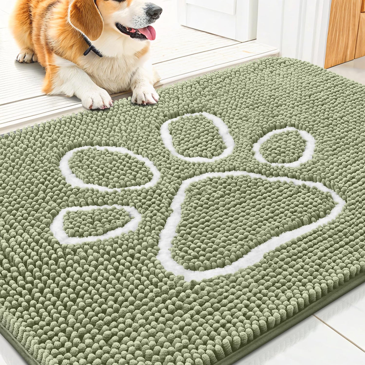 Smiry Rug in 30"X20", Sage Green and White