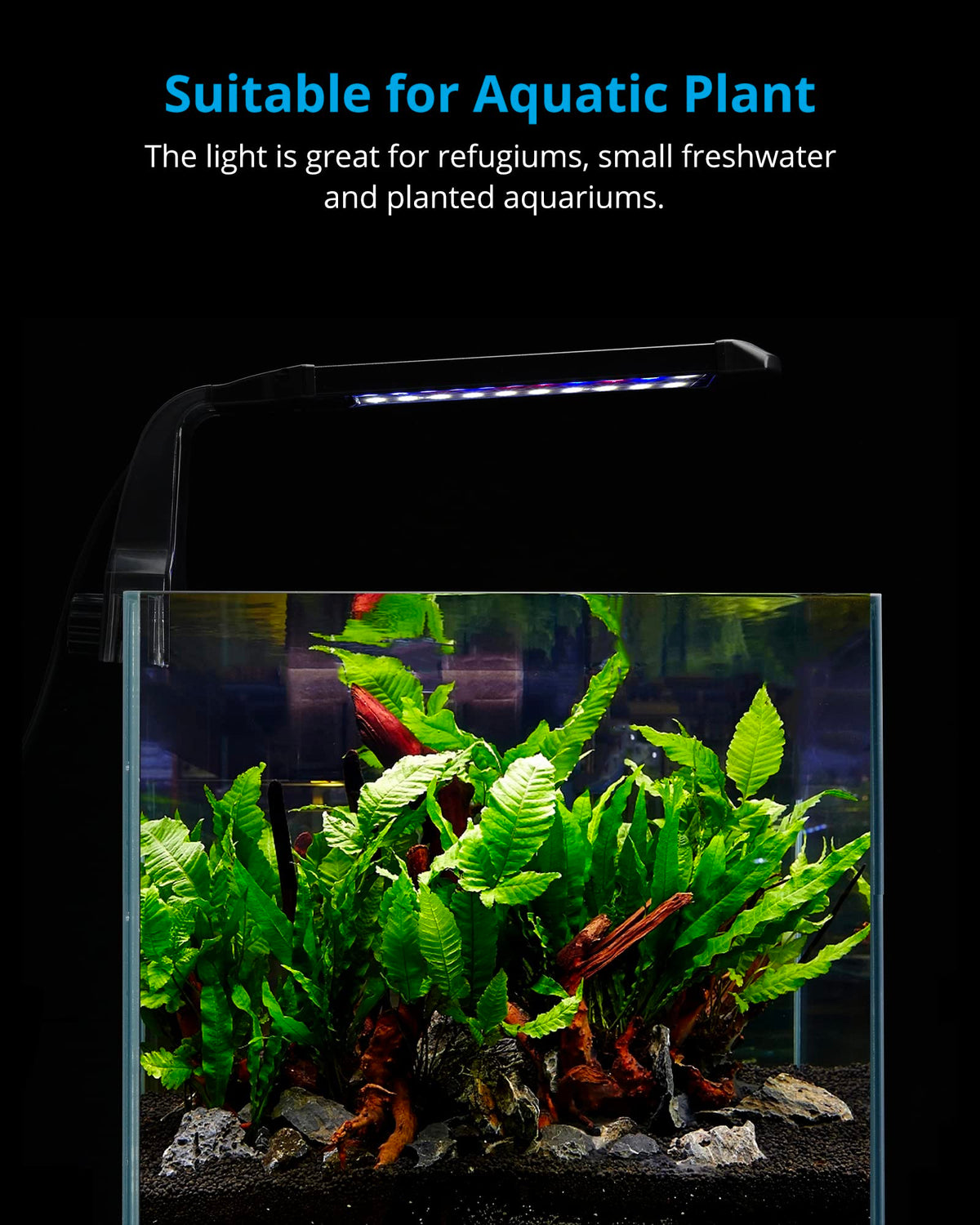 NICREW Lamp in For Plants, Black