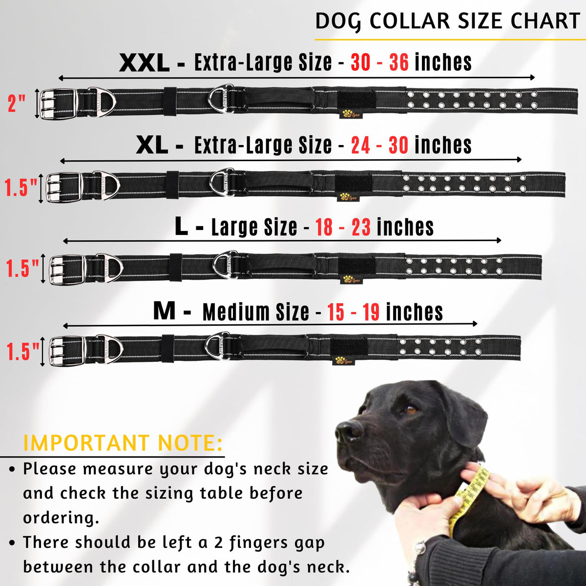 ADITYNA Animal Collar in Extra-Large: Fit 24-30" Neck, Black