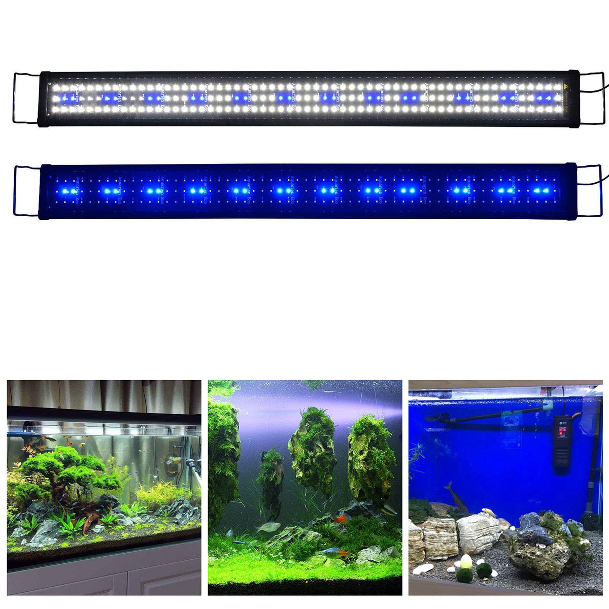 KZKR Lamp in Blue and White 48-60 inch, Blue,White