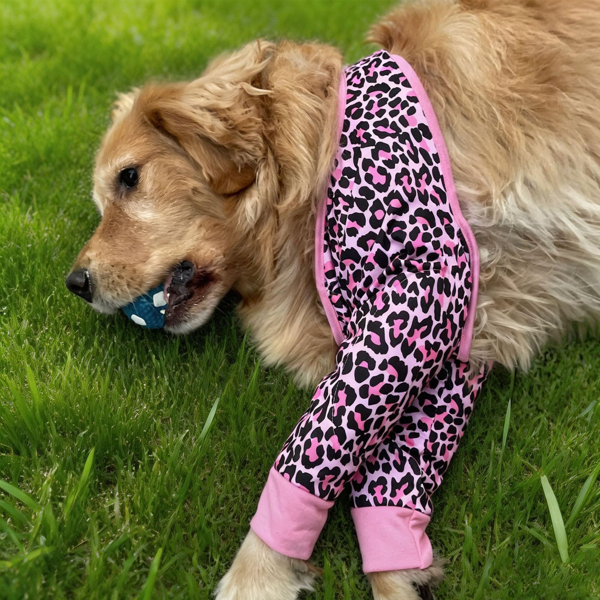Harikaji Pet Supplies in L-Length 9'' Girth<8.2'', Pink Leopard (Pad Upgrade)