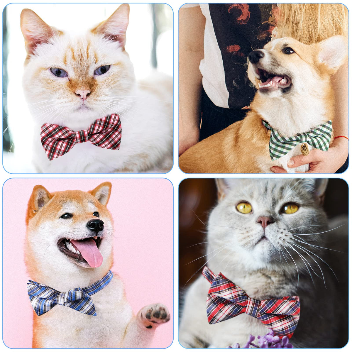 Segarty Pet Apparel in 11 - 18.5 inches, 10pcs-multicolored