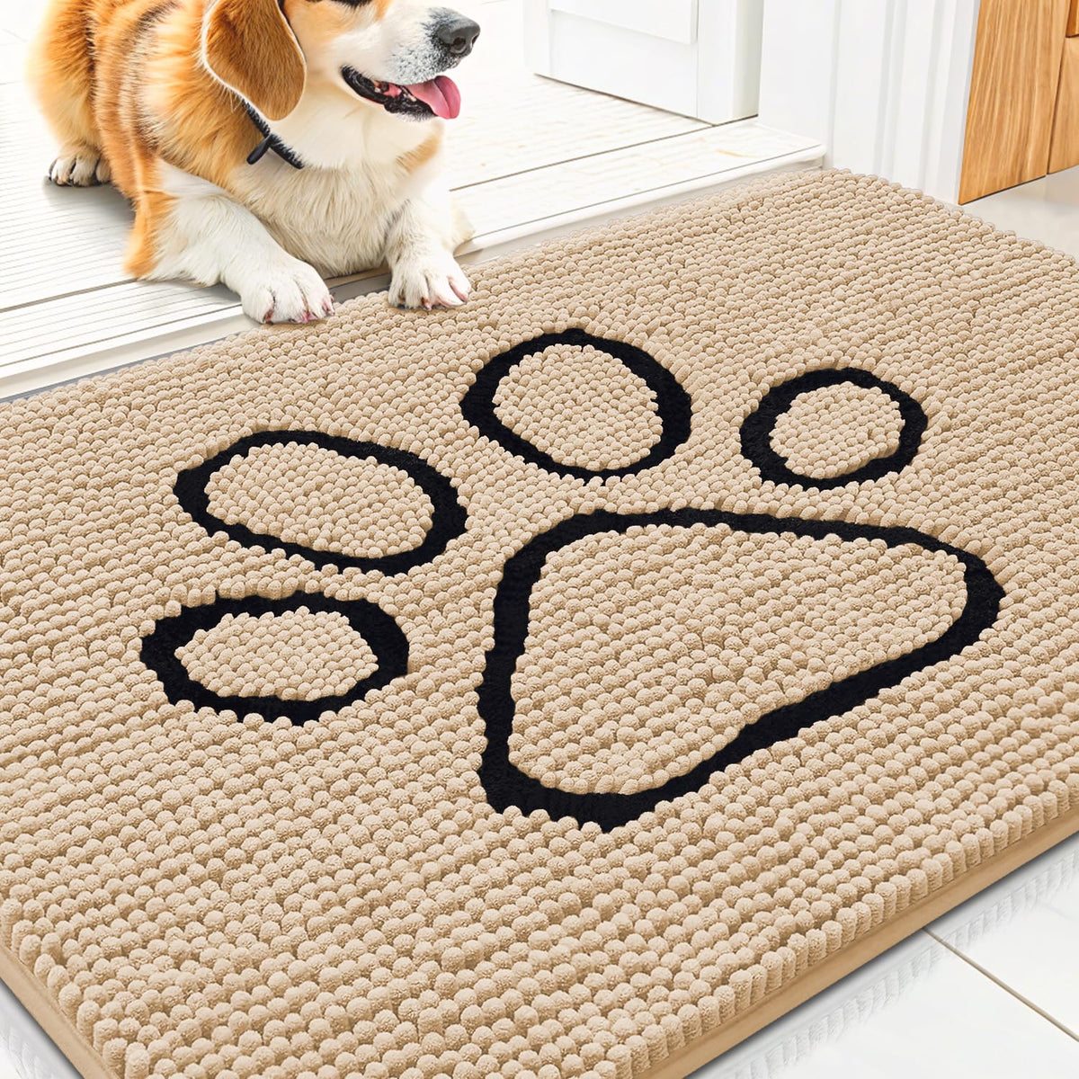 Smiry Rug in 30"X20", Beige and Black