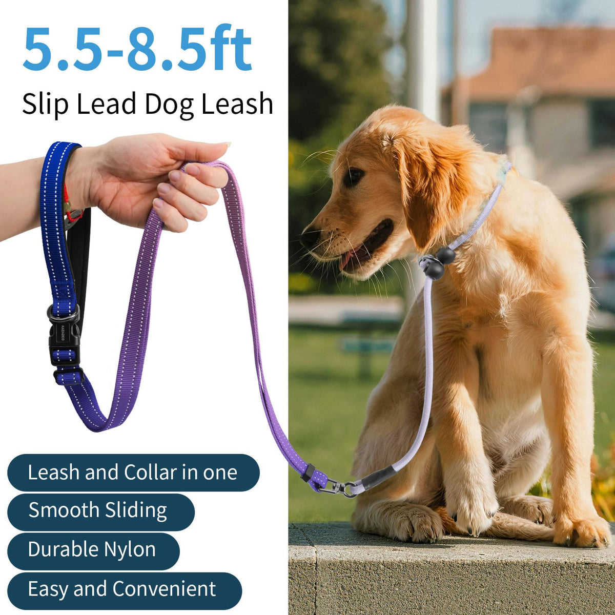 kazazoo Leash in Adjustable (5.5ft to 8.5ft), Gradient Purple