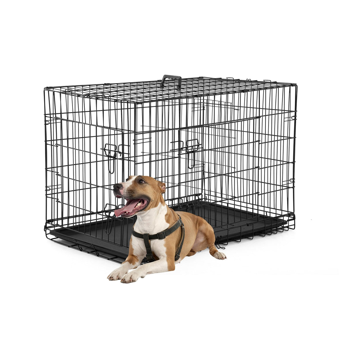 FDW Animal Cage in 36.0"L x 22.0"W x 24.0"H, Black