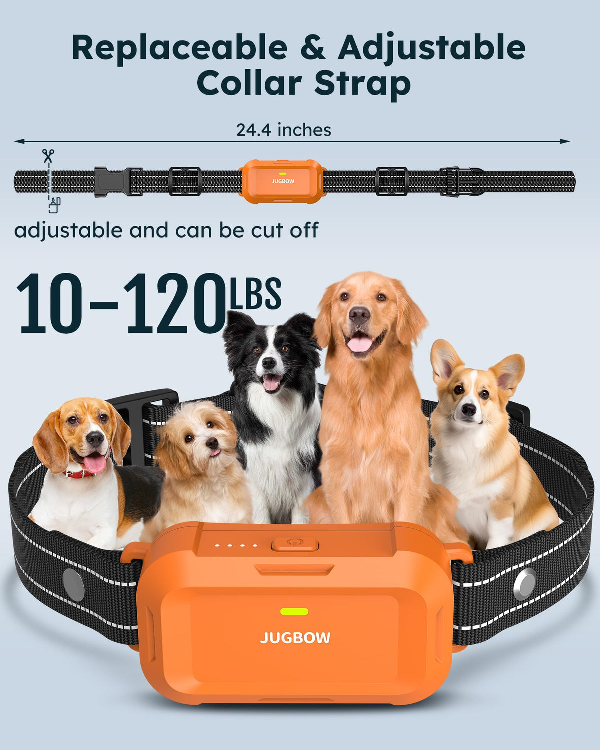 Jugbow Animal Collar in 2 Count (Pack of 1), Orange 2 pack