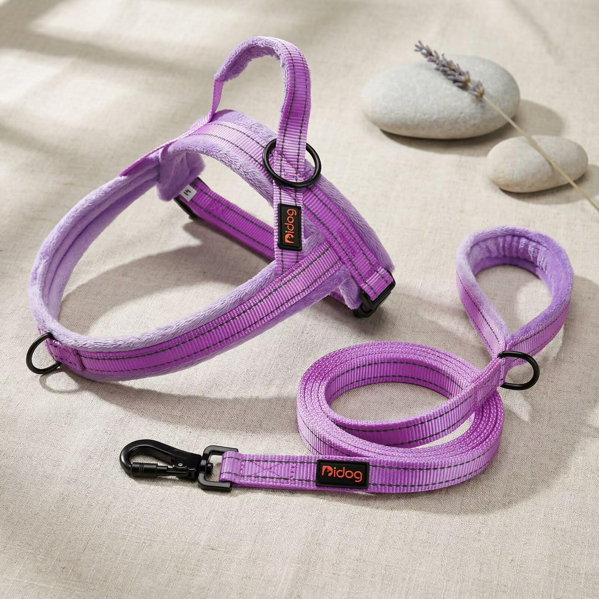 Didog Leash in 3/4''x 4 FT, Purple