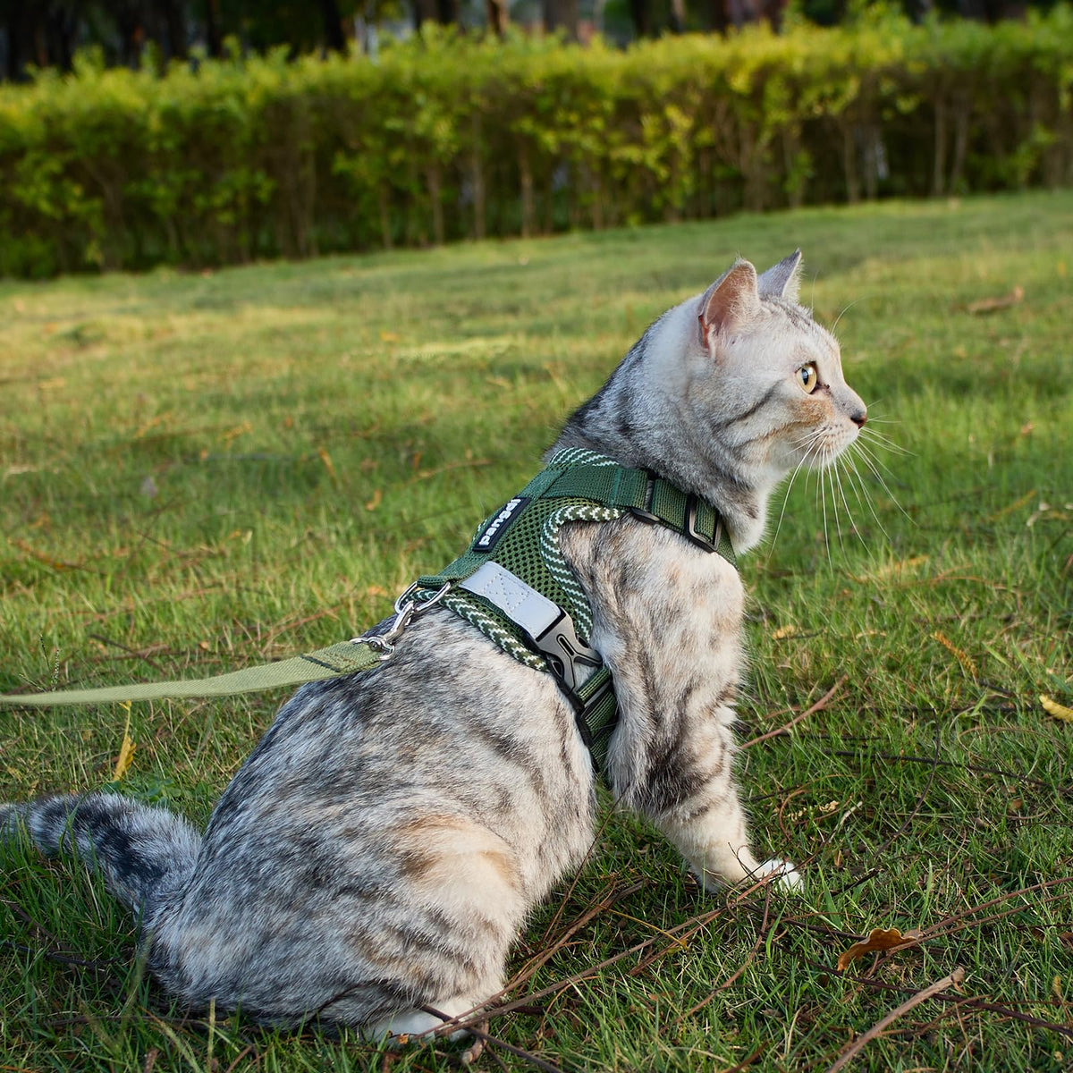 pangdi Pet Supplies in Small, Dark Green