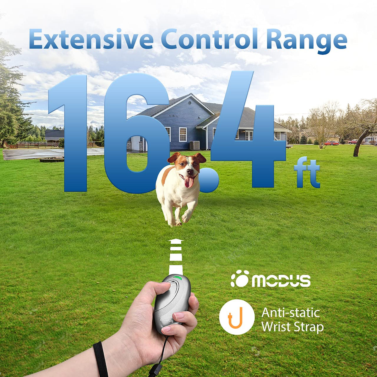 MODUS Pet Supplies in Grey Dog Barking Deterrent Devices