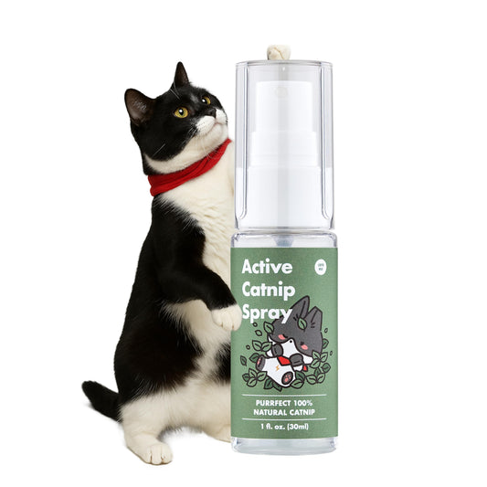 JAYU PET Pet Toy in 1fl oz, Catnip