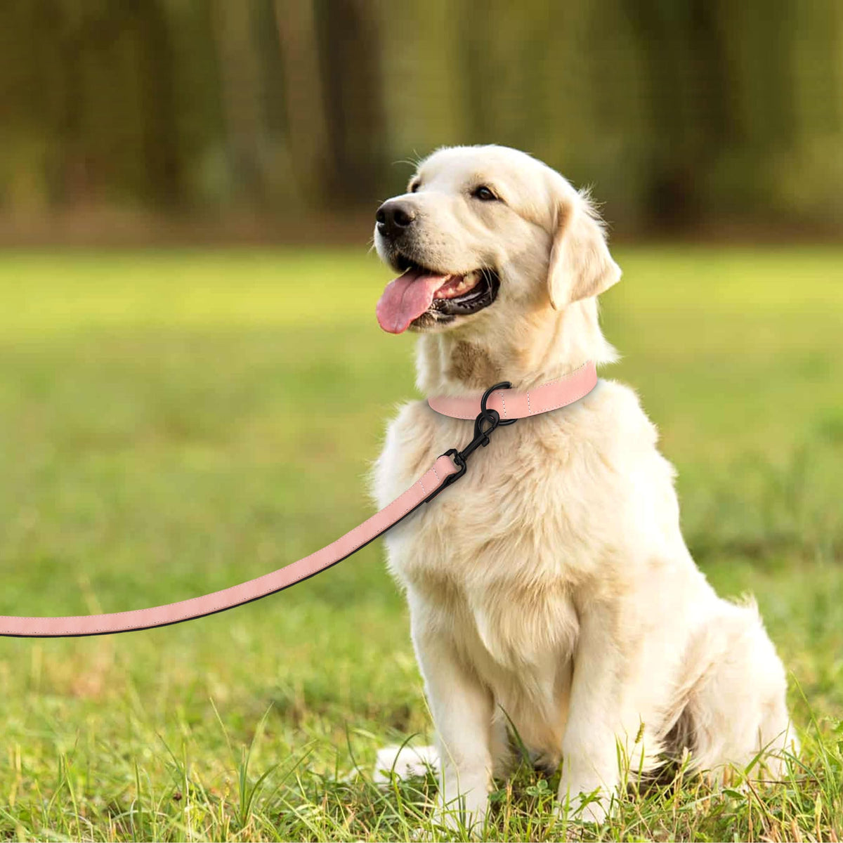 Didog Animal Collar in L: Fit Neck 14-18"(22-44 lbs), Pink Set