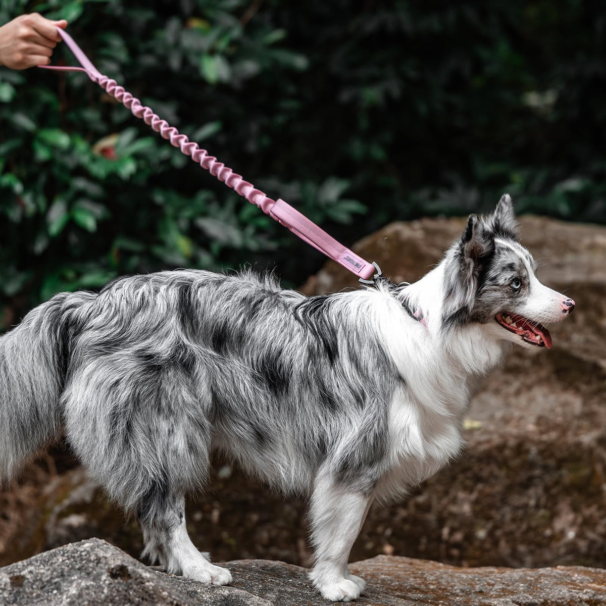 ONETIGRIS Leash in 85cm-118cm/33.5in-46.5in, Pink