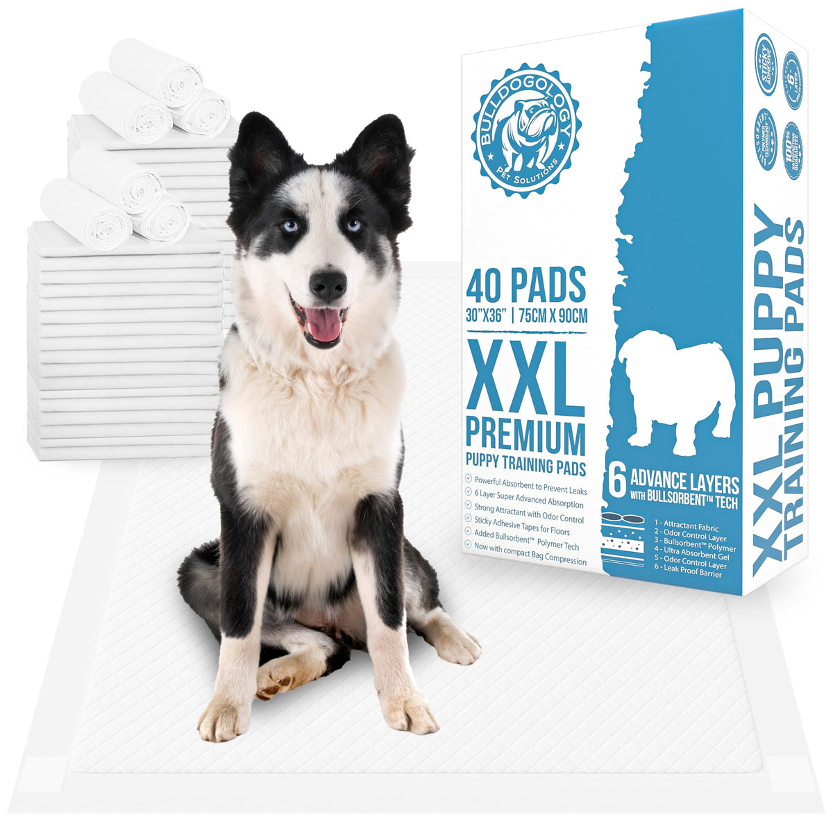 Bulldogology Pet Solutions Disposable Incontinence Surface Protector in 40-Count (30x36), White