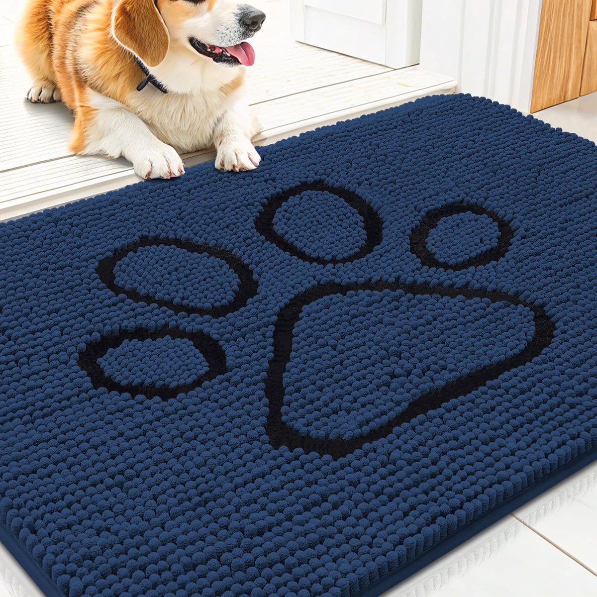 Smiry Rug in 30"X20", Dark Blue and Black