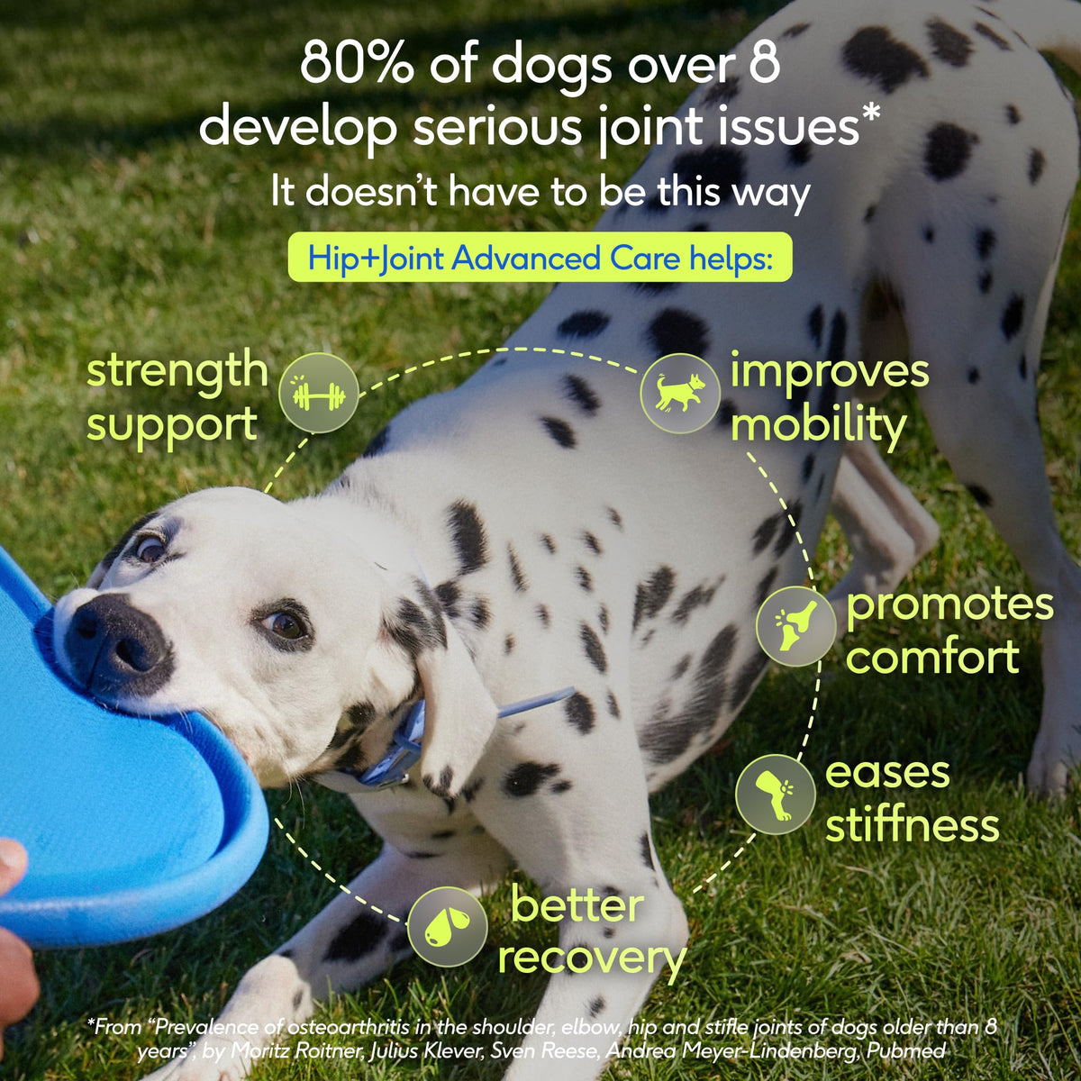 Native Pet Animal Nutritional Supplement in 30 Servings, Advanced Care