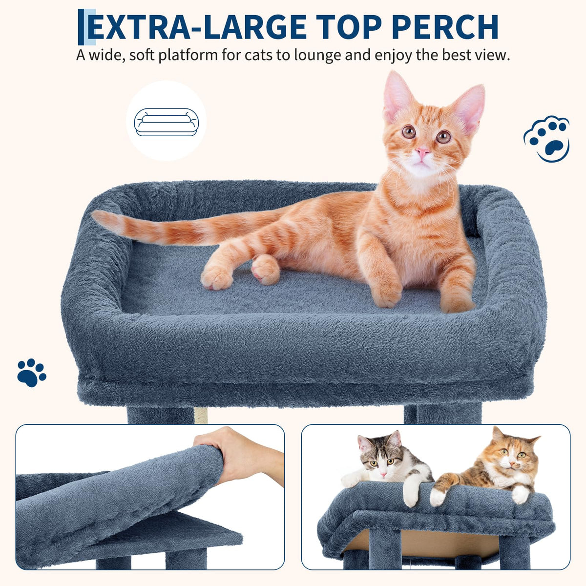 OUTLANE Pet Activity Structure in Light blue, Light Blue