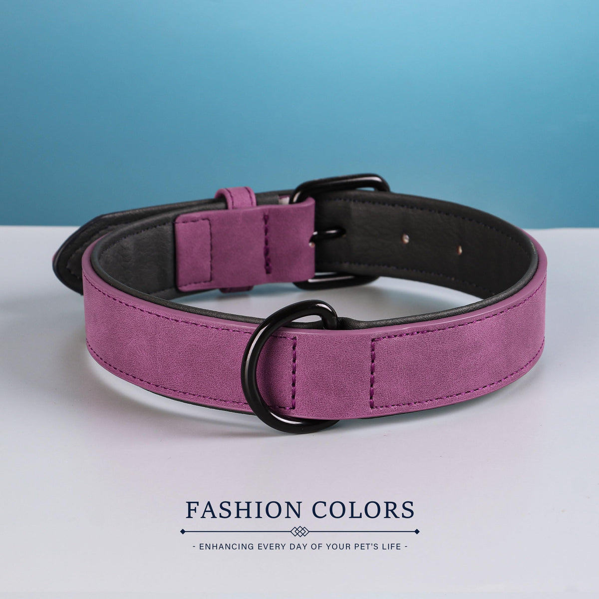 Didog Animal Collar in M: Fit Neck 11-14"(10-20 lbs), Purple