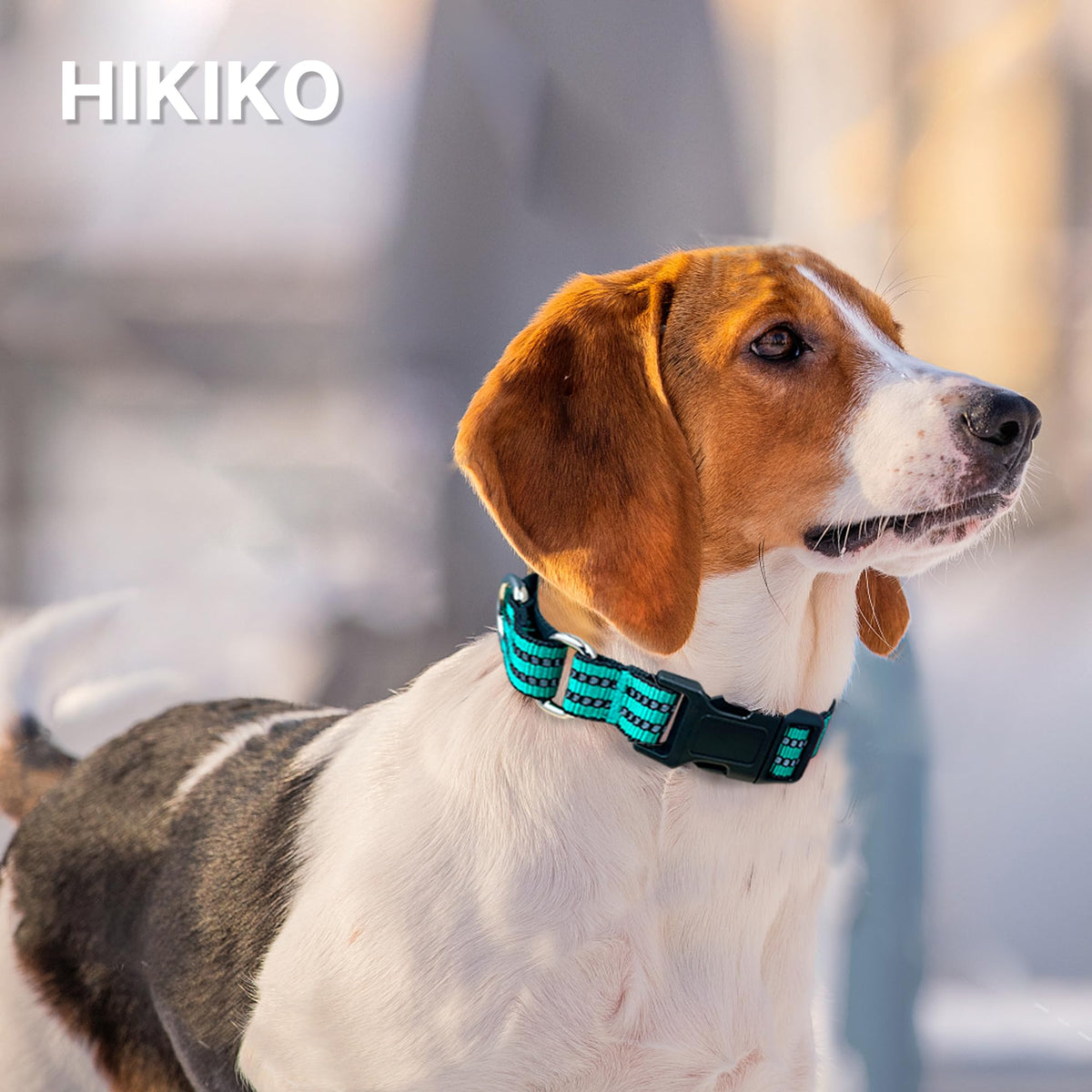 Hikiko Animal Collar in Small, Turquoise