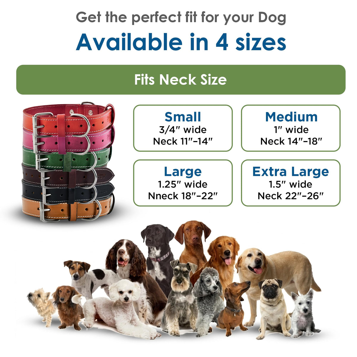 DowgClub Animal Collar in S (11"-14"), Red