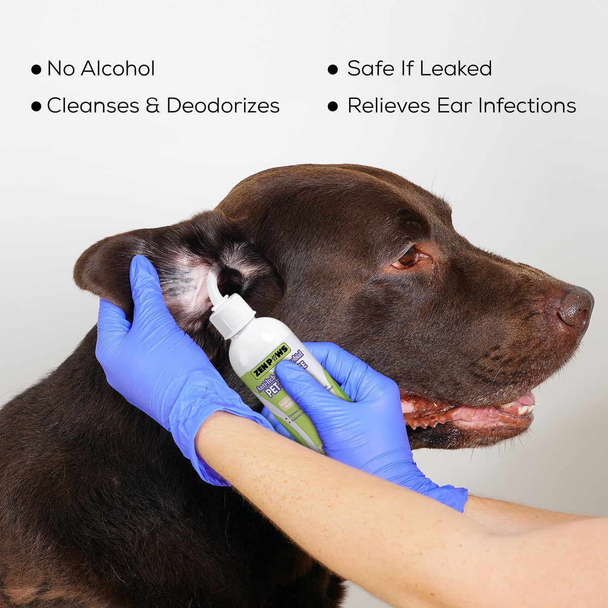 Zenpaws Pet Supplies
