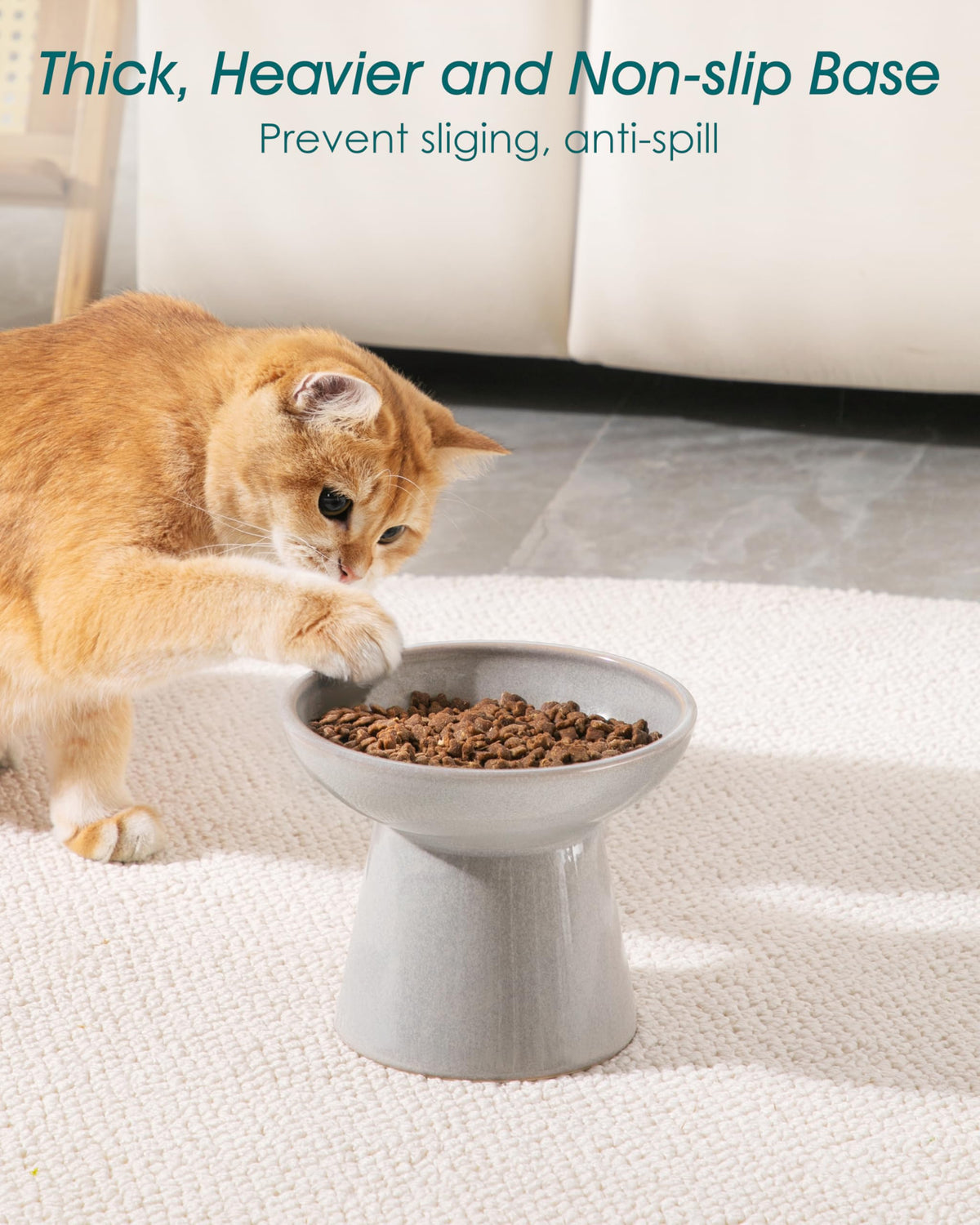 vancasso Pet Feeder in 2 Pack-Food & Water Bowls, Grey