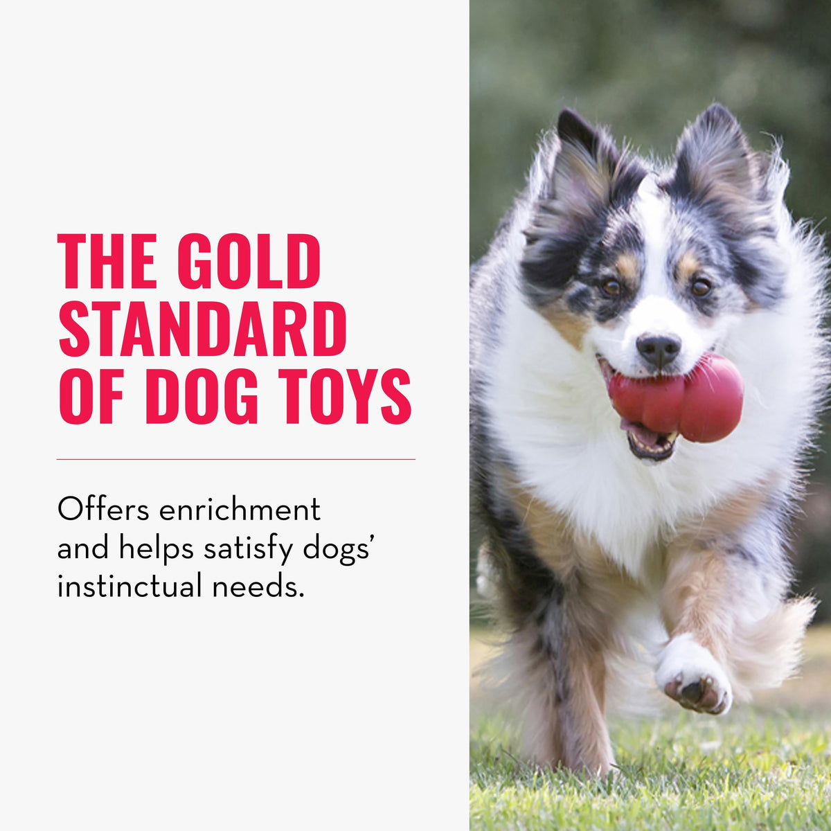 KONG Pet Toy in X-Small, Red