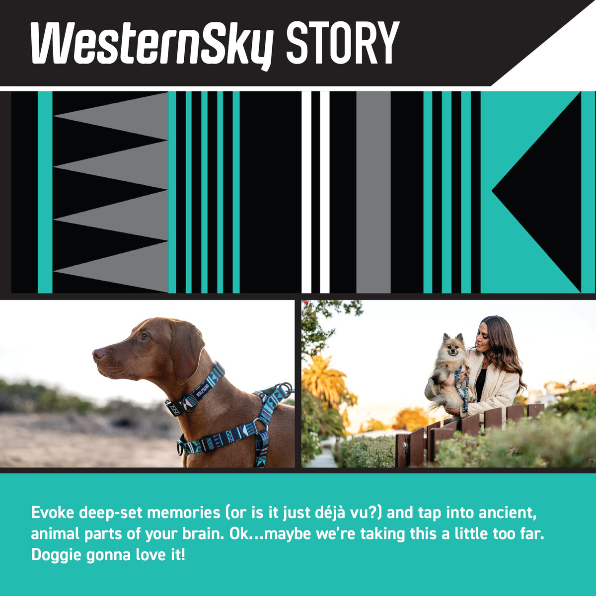 Wolfgang Man & Beast Animal Harness in Small (5/8 Inch x 12-18 Inch), WesternSky Print